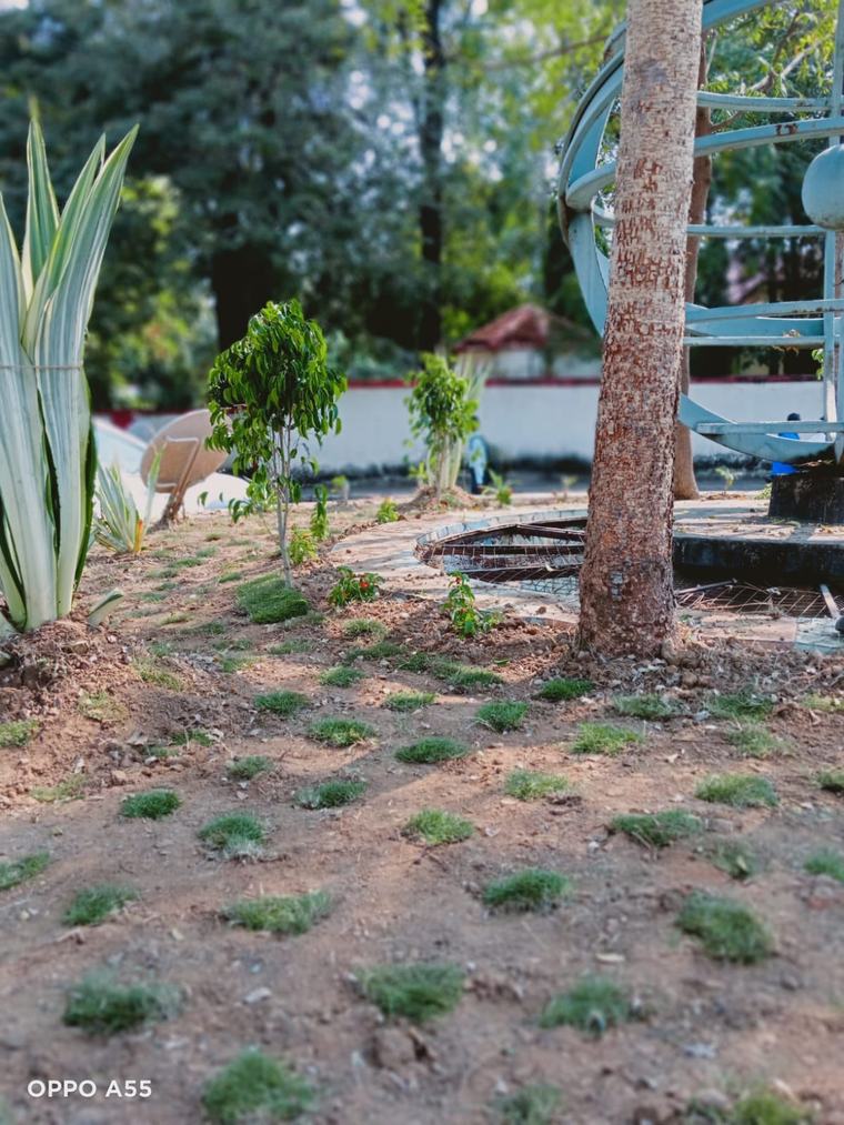 New planting going in at RTI Square, December 2022